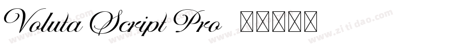 Voluta Script Pro字体转换